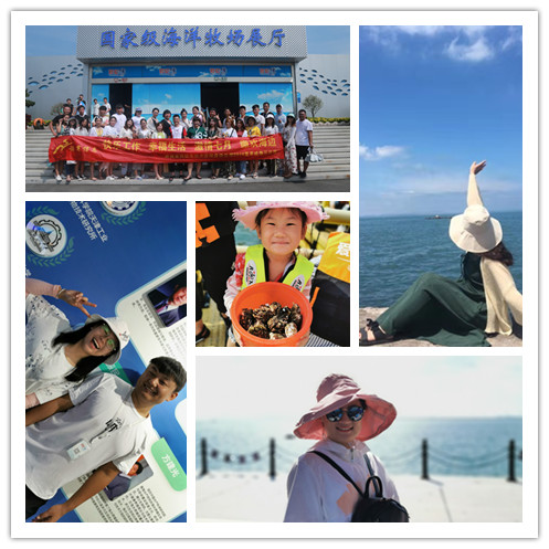 濟南網(wǎng)絡托管公司